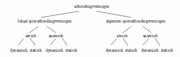 img1.gif